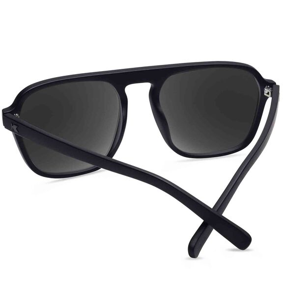 Pacific Palisades Polarized Sunglasses image number 3