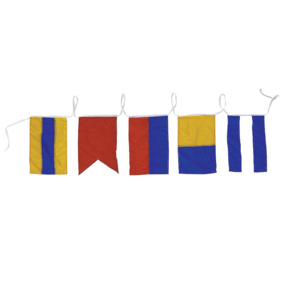 Decorative Strand of Code Flag image number 0