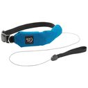 RadDog&trade; All-In-One Collar & Leash image number 1