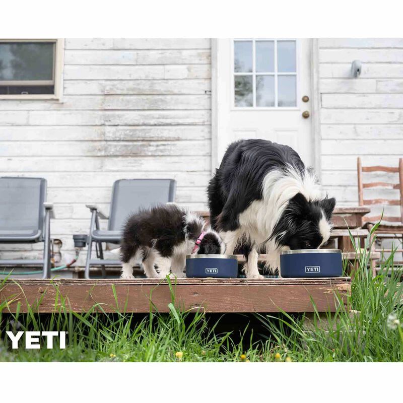 Is the Yeti No-Skid Dog Bowl Worth the Money? We Put It to the Test