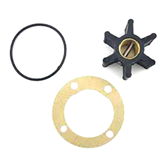 Neoprene Impeller, 1-9/16" x 3/4" x 15/32", 1 Drive, Brass Insert, 6 Blades image number 0