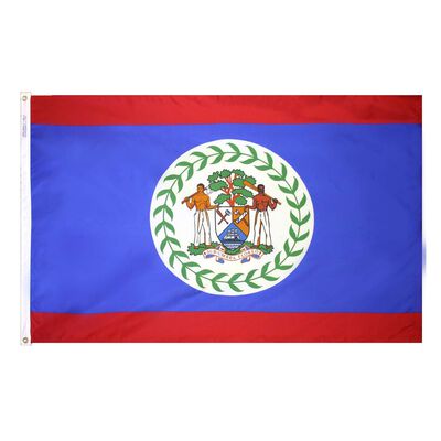 12" x 18" Belize Courtesy Flag