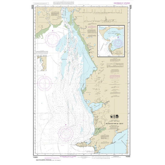 #16300 Kuskokwim Bay, Goodnews Bay image number 0