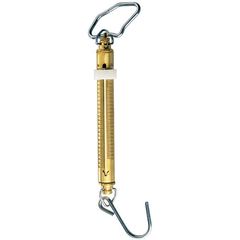 Brass Fishing Scale image number null