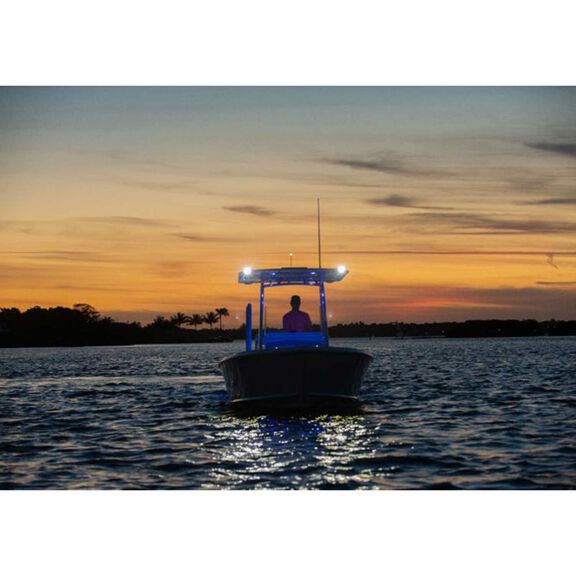 Contour Combination Starboard Navigation/Docking Light, 2 Nautical Miles, White/Green image number 1