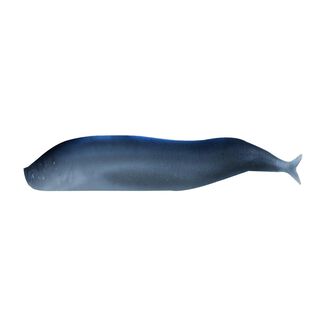 Gulp!&reg; Saltwater Sand Eel