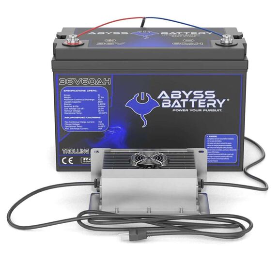 36V 60Ah Lithium Iron Phosphate Group 31 Trolling Motor Battery Kit with On-board 36V 10A High-Precision Lithium Battery Charger, Bluetooth Enabled image number 0