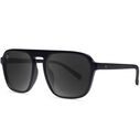 Pacific Palisades Polarized Sunglasses image number 0