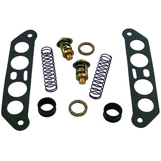 18-3673D Thermostat Kit