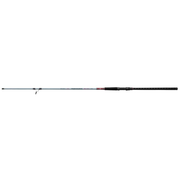 10' Team Daiwa Surf&reg; Spinning Rod, Medium Heavy Power image number 1