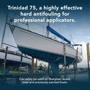 Trinidad 75 Antifouling Paint, Black, Gallon image number 6