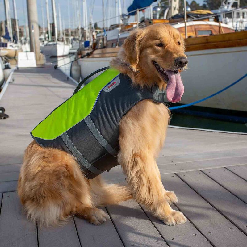 AquaPro Pet Life Jacket, X-Small image number 6