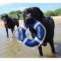 Fetch Ring Dog Toy image number 2