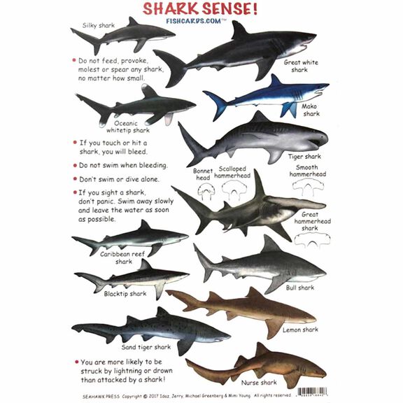 Waterproof Dangerous Creature Identification Card image number 1