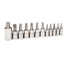 12 Piece Tamper Proof Torx Bit Socket Set image number 0