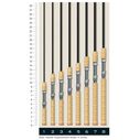 Triumph Spinning Rods image number 1