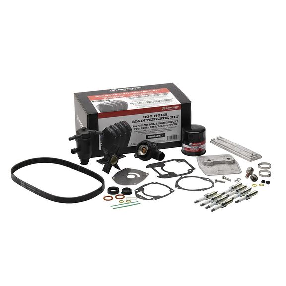 4.6L V8 SeaPro and Pro XS CMS 300 Hour Maintenance Kit image number 0