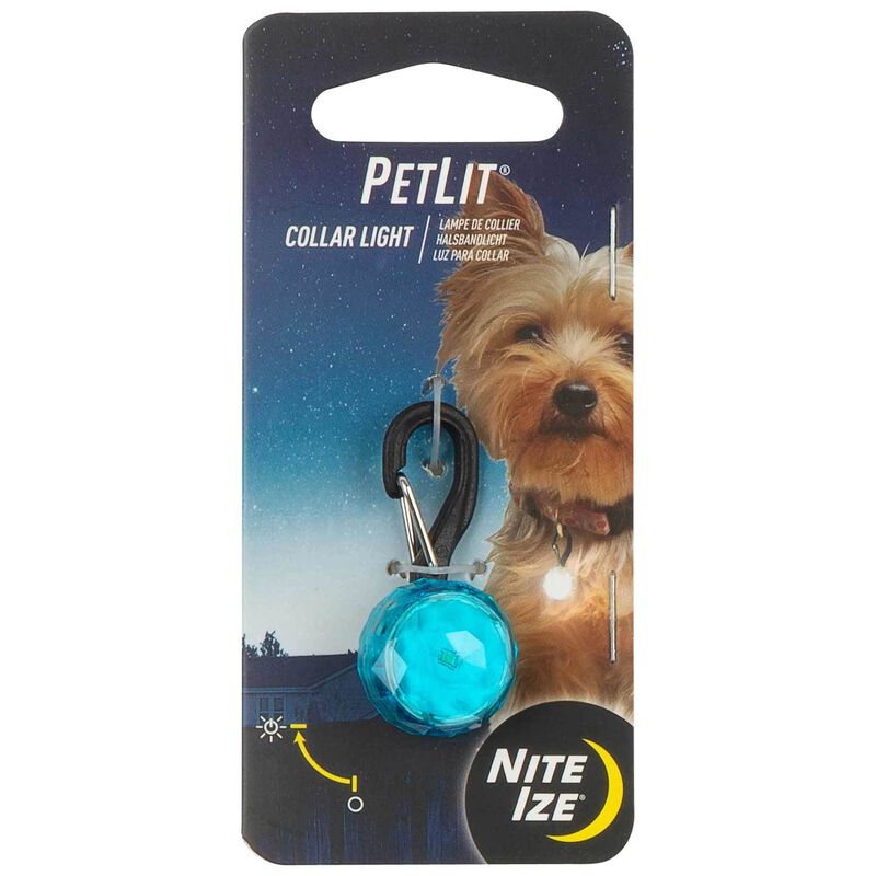 PetLit LED Collar Light, Turquoise Jewel image number 1