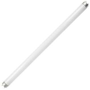 Fluorescent Replacement Lamps