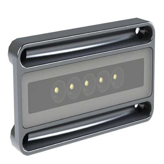 Nevis2 - Engine Room & Ultility Light, Brushed Finish, White & Red, CRI 70-75, CCT 5000, 10-30vDC, 900mA image number 0