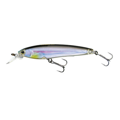 3DS Minnow™ Fishing Lure, 4"