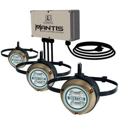 Mantis Dock Lighting System, 2,000 Lumen, RGBW