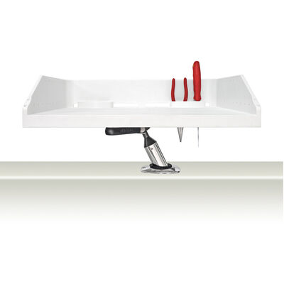 Small Tournament Series Fish Cleaning Station