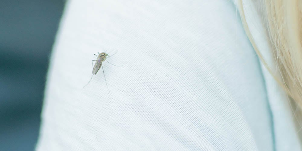 Mosquito Proof Clothing  Insect Shield® Repellent Technology