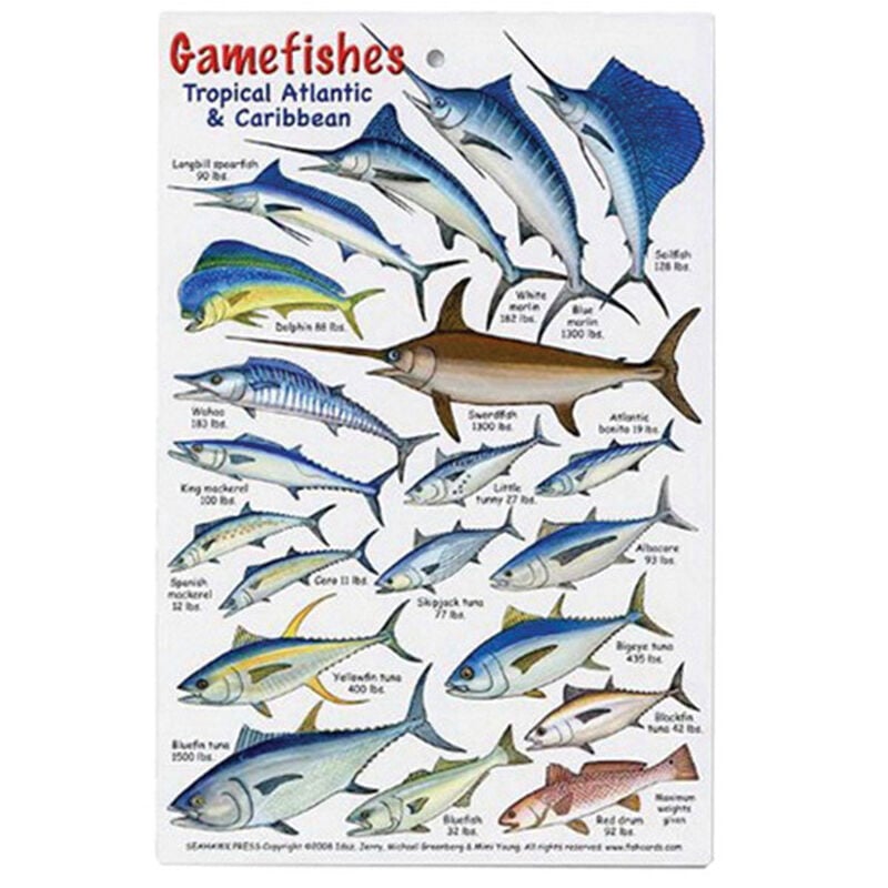 Tropical Atlantic and Caribbean Gamefish Identification Card