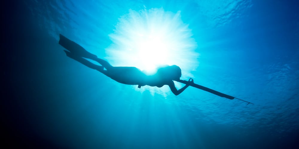 person in scuba gear using a spear gun