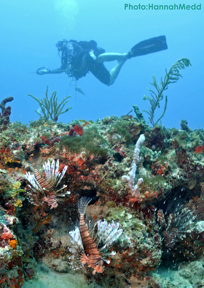 Fitness Benefits of Scuba Diving West Marine