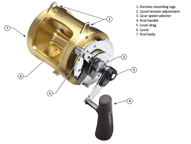 Parts of a conventional reel diagram