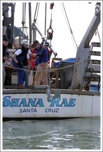 Anchor hanging from hoist on Shana Rae
