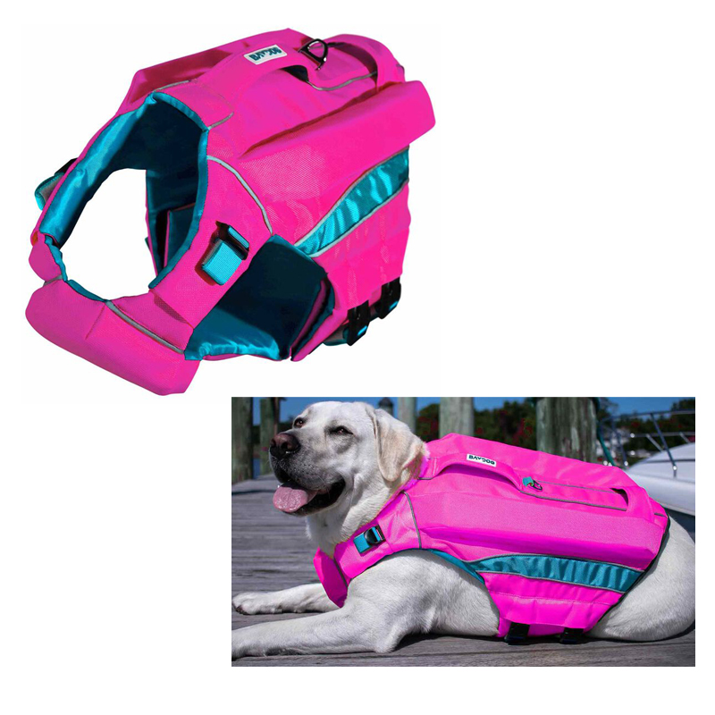 Dog wearing Monterey Bay Offshore Pet Life Jacket
