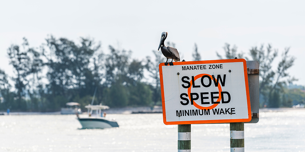 Waterway sign that reads: Manatee Zone Slow Speed Minimum Wake