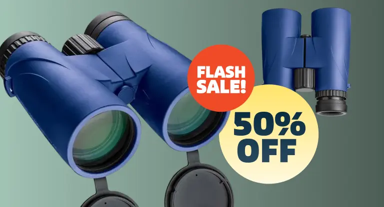 Flash Sale! 50% Off