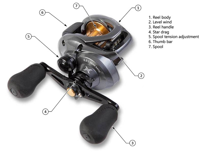 diagram of the parts of a baitcasting reels