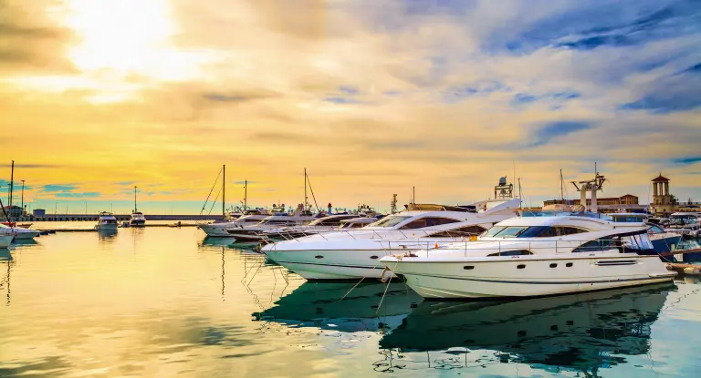 26_0101-loyalty-2-03-gold-rewards-child-2