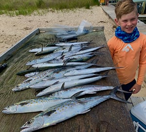 Boy standing next to fish cleaning table full of Spanish mackerel.