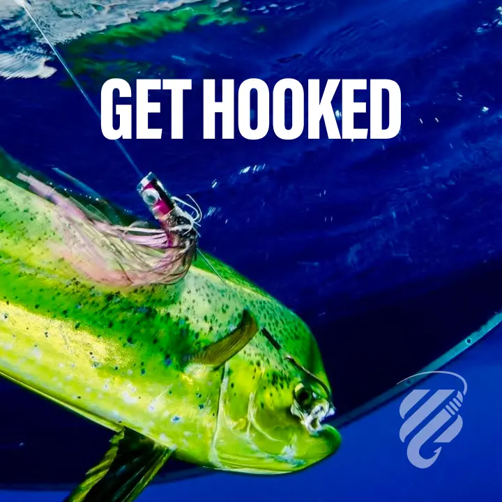 GET HOOKED