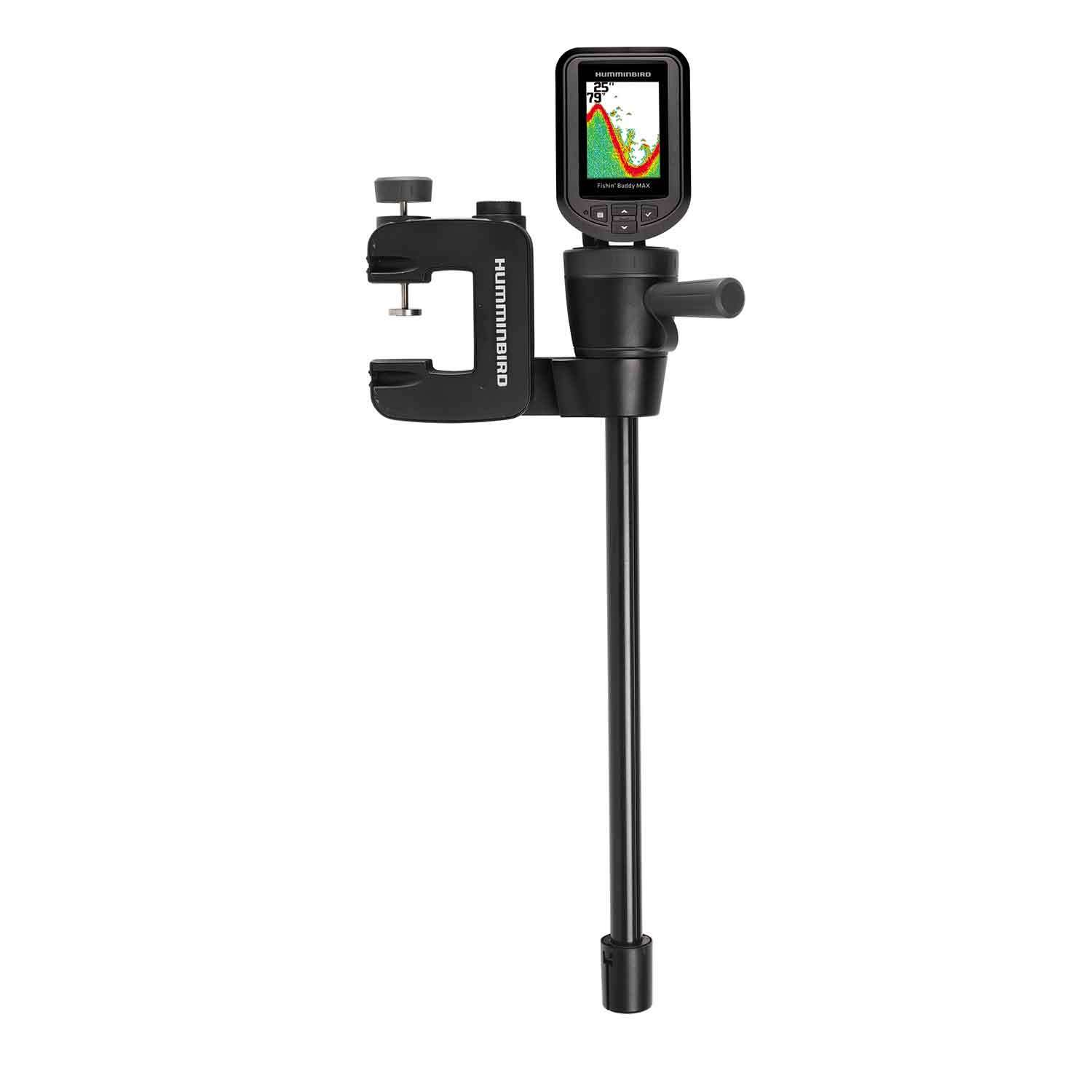 FishMum Amazon.com: 6 Pack Mixed Live 3-4 inch sarasa, shubunkin