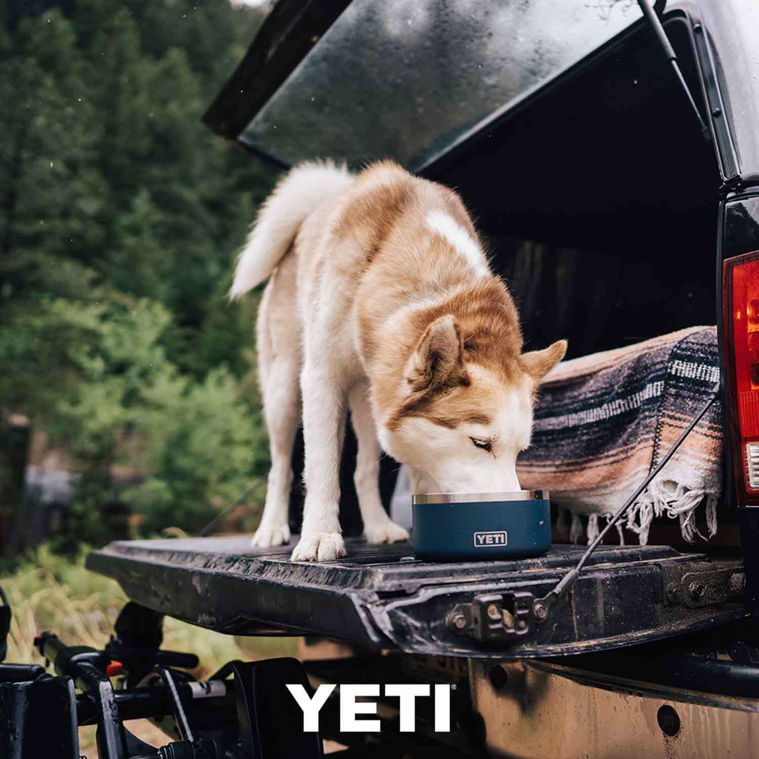 Yeti Boomer 8 Dog Bowl – Wilderness Sports, Inc.