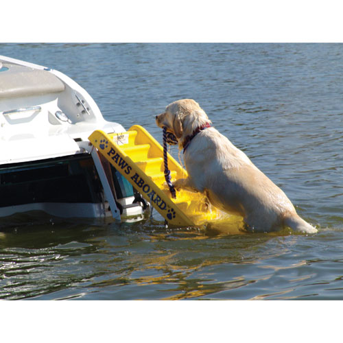PAWS ABOARD Doggy Boat Ladder