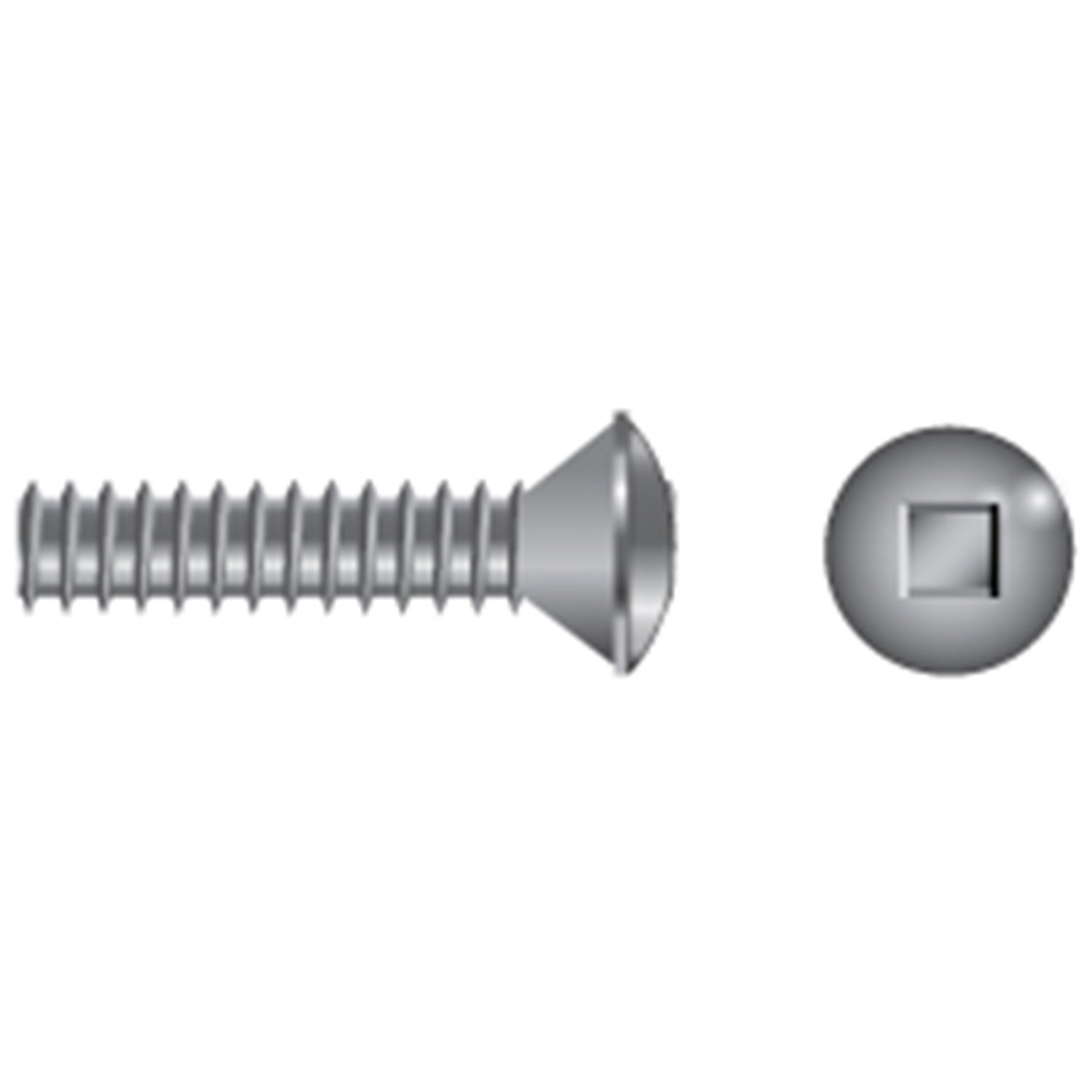 FASCO FASTENER Stainless Steel Square Drive OvalHead Machine Screws West Marine