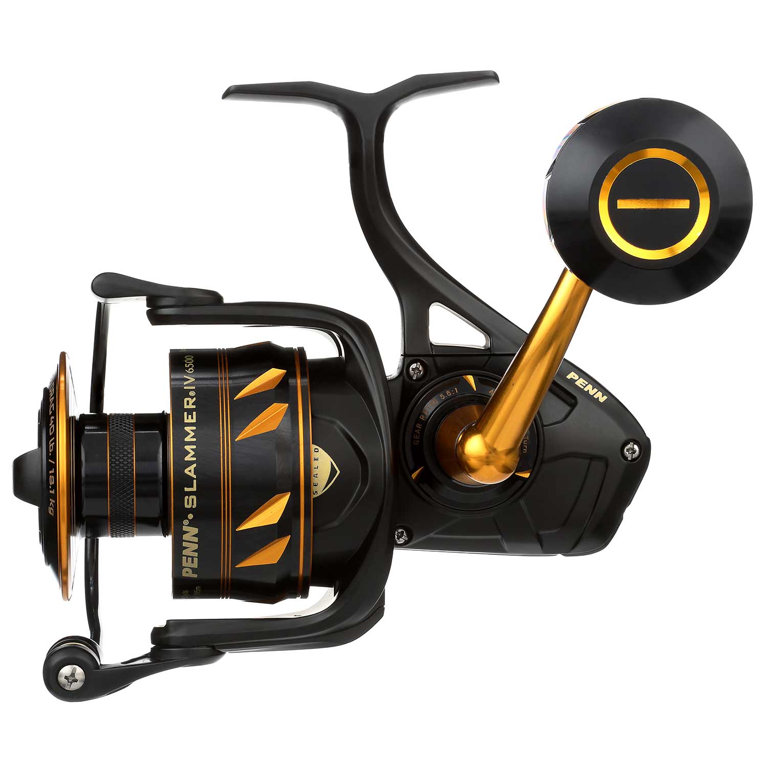 Slammer IV 6500 HS Spinning Reel