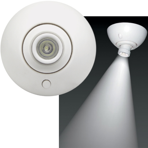 WEST MARINE LED Surface Utility Eyeball Light West Marine