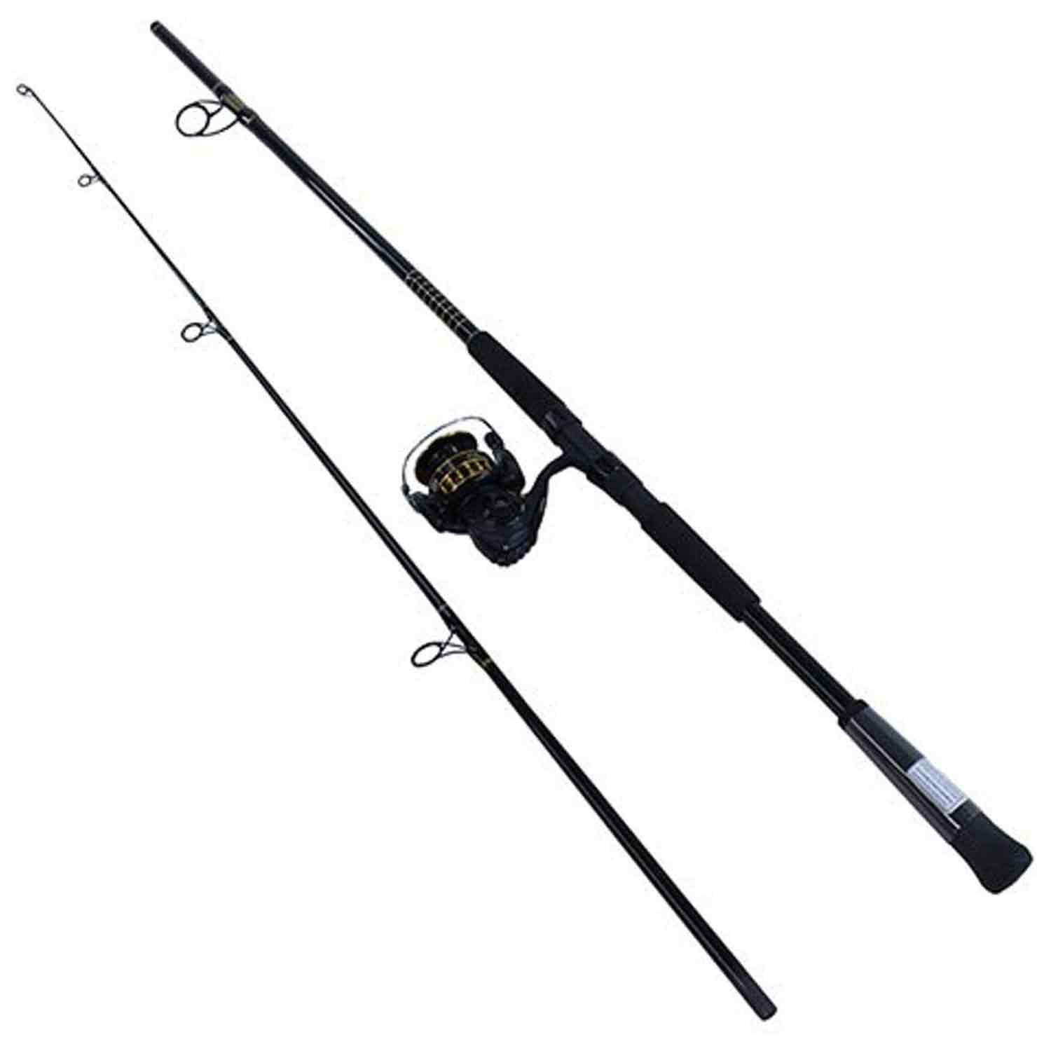 DAIWA 8' BG4000 Saltwater Surf Combo