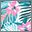 Women's Max Hawaiian Hideaway Bralette Bikini Top