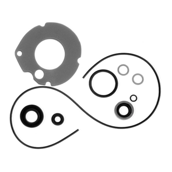 SIERRA 182680 Lower Unit Seal Kit for Johnson/Evinrude Outboard Motors