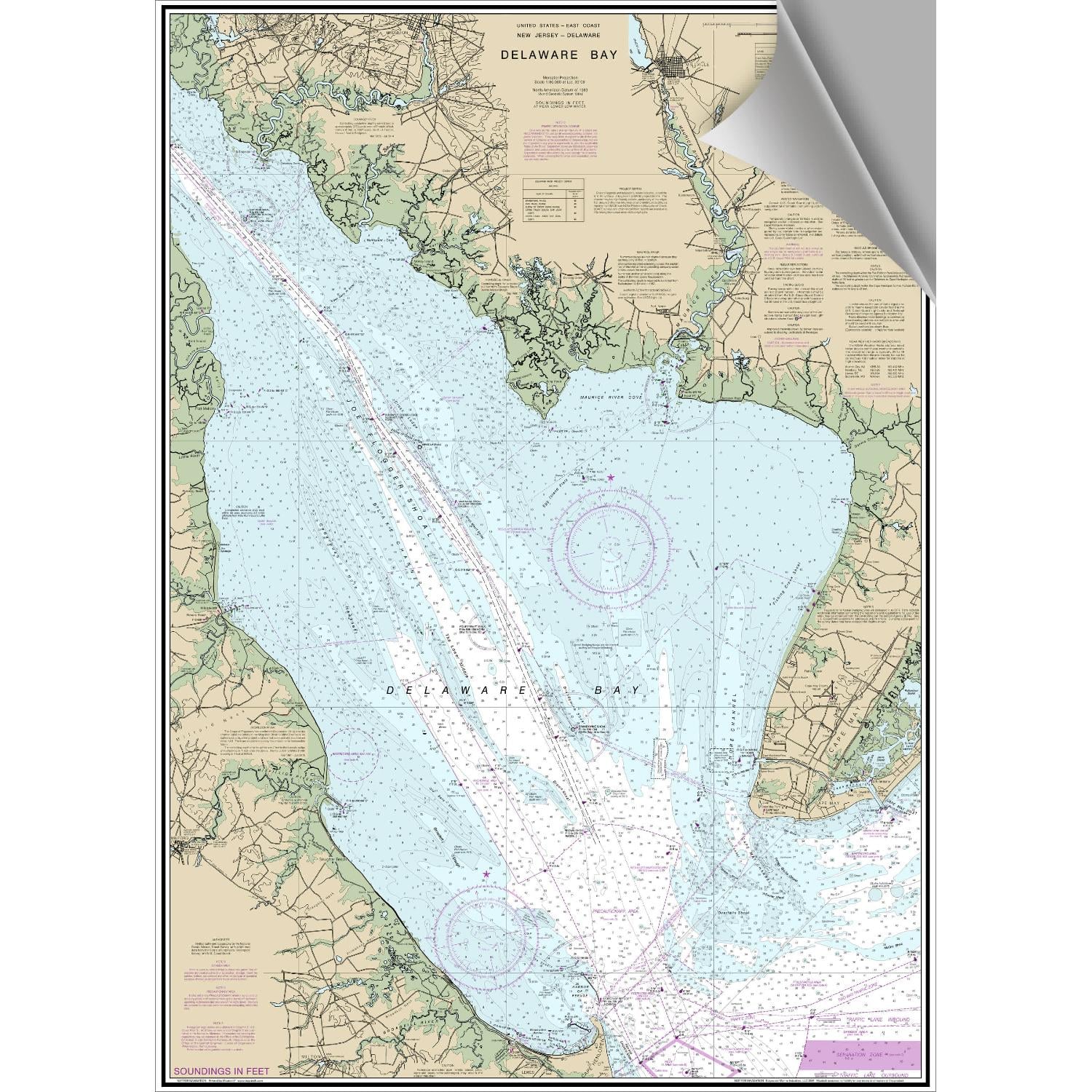 MAPTECH Delaware Bay Decorative Nautical Chart